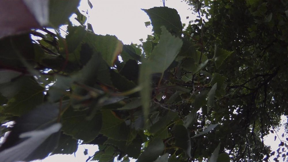 vlc 2011-06-21 16-21-21-84.jpg