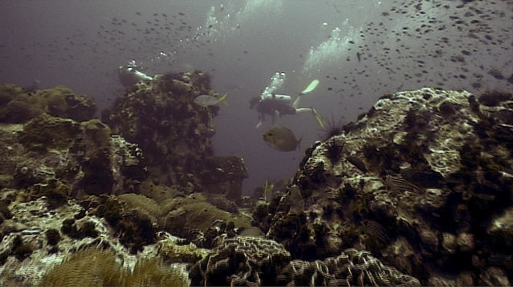 dive chump.jpg