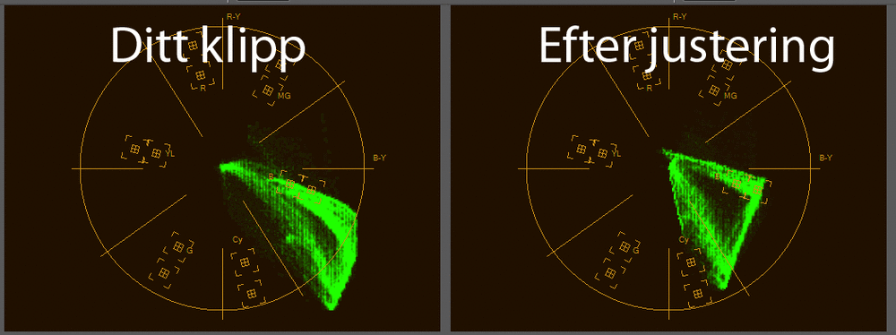 Vectorscope.gif