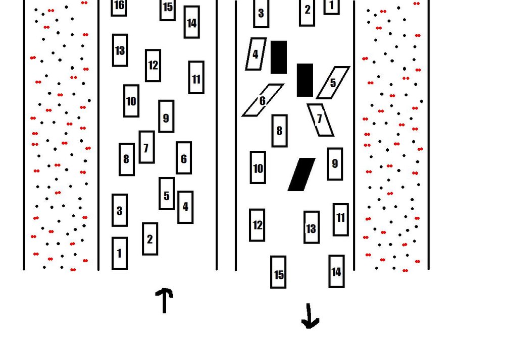 biljakt.JPG